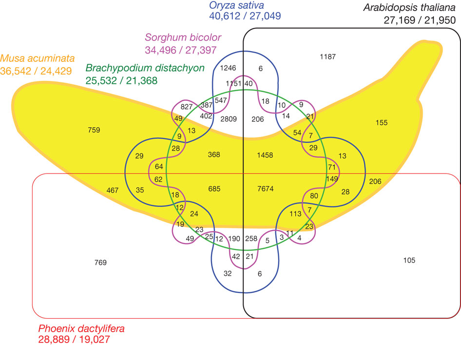 A six-set venn diagram where one of the set shapes is a banana. The chart is difficult to read.