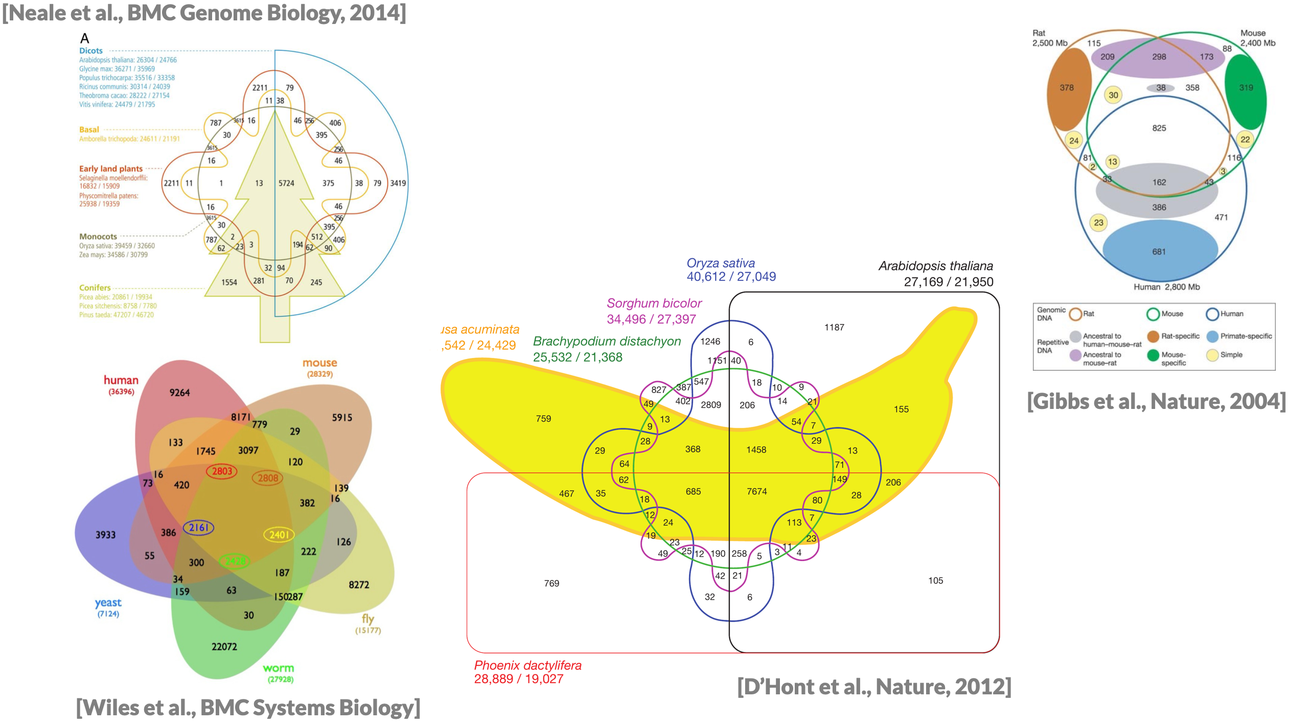 A collection of five or more set venn diagrams.