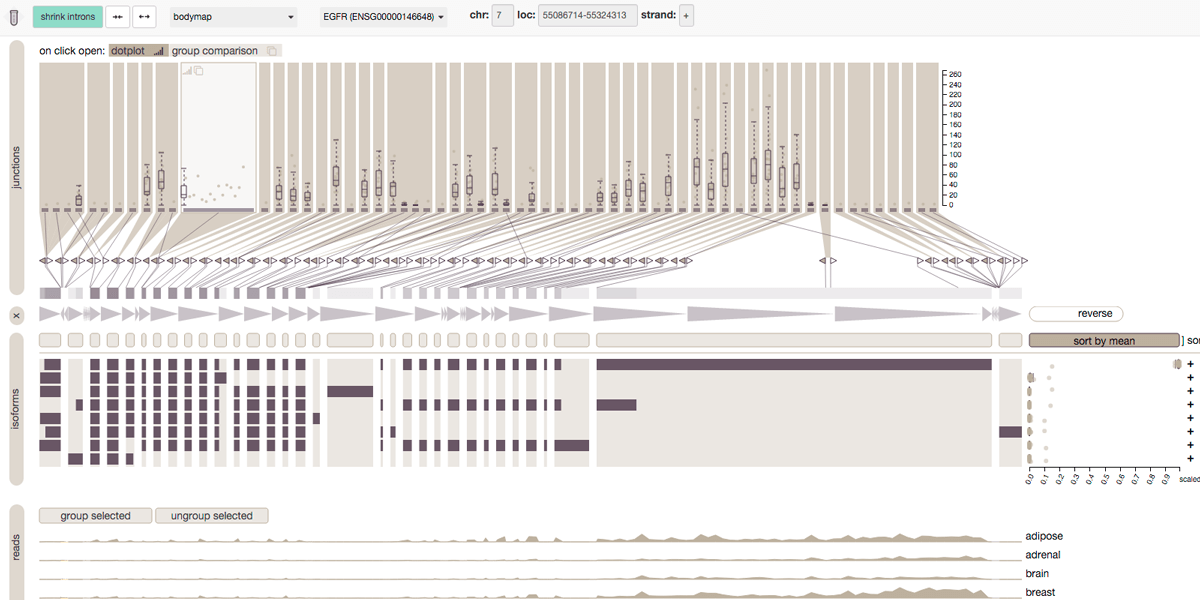 Vials screenshot