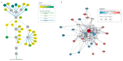 Ten Rules for Network Vis screenshot