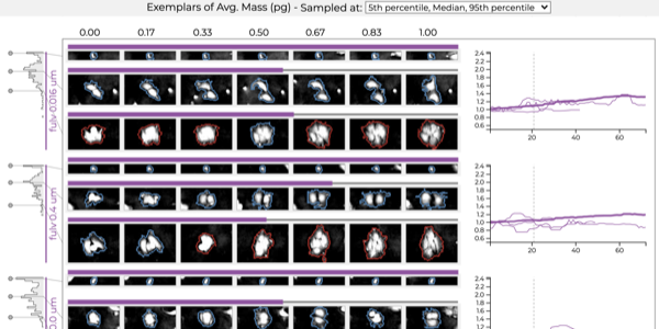 The exemplar view displays representative cells compactly.