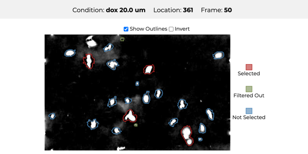 Single images can be viewed with cell boundaries.